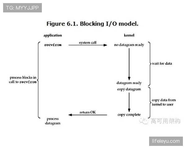 奥利塞与福登：组织能力与终结效率的差异解析