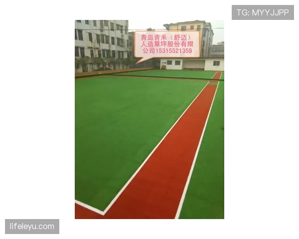2026世界杯草坪标准规则有哪些